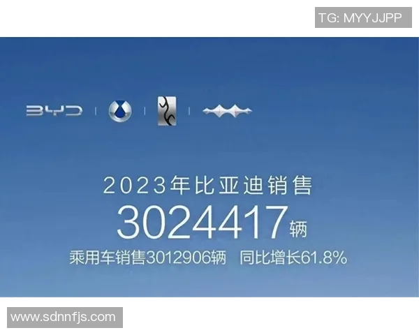 申京自信谈表现出色积极寻找队友提升比赛局面