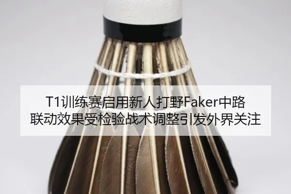 T1训练赛启用新人打野Faker中路联动效果受检验战术调整引发外界关注